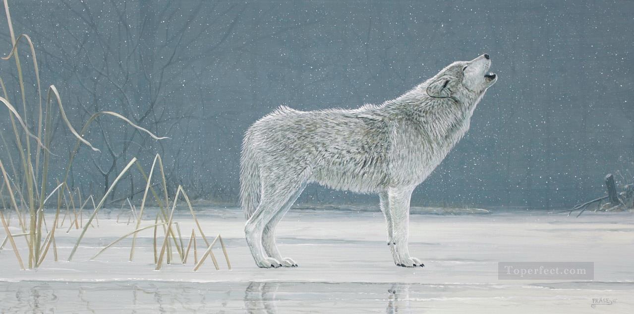 howling wolf in snow Oil Paintings